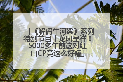 《解码牛河梁》系列特别节目丨龙凤呈祥！5000多年前这对红山CP竟这么好嗑