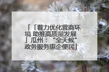 「着力优化营商环境 助推高质量发展」瓜州：“全天候”政务服务惠企便民