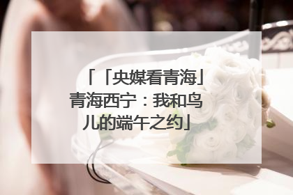 「央媒看青海」青海西宁：我和鸟儿的端午之约