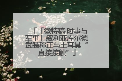 「微特稿·时事与军事」叙利亚库尔德武装称正与土耳其“直接接触”