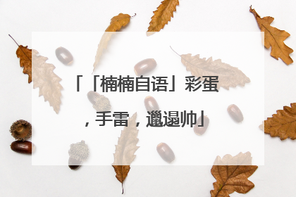 「楠楠自语」彩蛋，手雷，邋遢帅