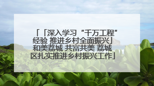 「深入学习“千万工程”经验 推进乡村全面振兴」和美荔城 共富共美 荔城区扎实推进乡村振兴工作