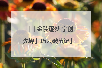 「金陵逐梦·宁创先锋」巧云破茧记