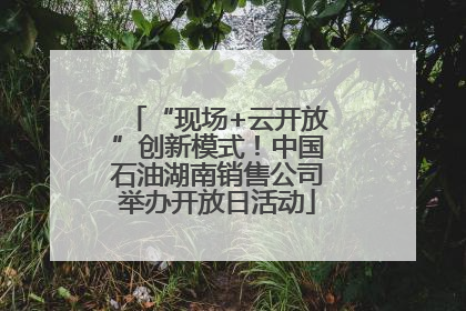 “现场+云开放”创新模式！中国石油湖南销售公司举办开放日活动