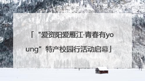 “爱资阳爱雁江·青春有young”特产校园行活动启幕
