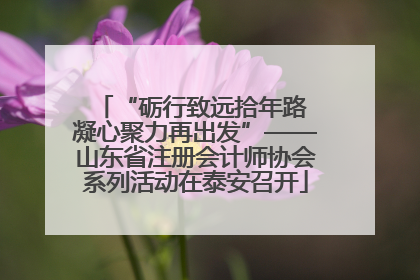 “砺行致远拾年路 凝心聚力再出发”——山东省注册会计师协会系列活动在泰安召开