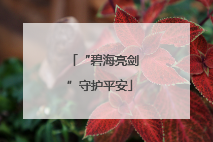 “碧海亮剑”守护平安