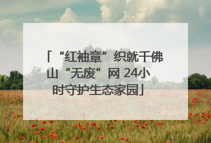 “红袖章”织就千佛山“无废”网 24小时守护生态家园