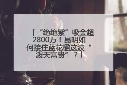 “绝绝紫”吸金超2800万！昆明如何接住蓝花楹这波“泼天富贵”？