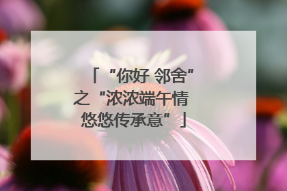 “你好 邻舍”之“浓浓端午情 悠悠传承意”