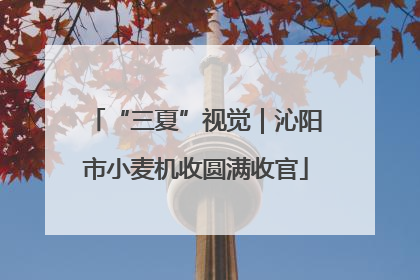 “三夏”视觉｜沁阳市小麦机收圆满收官
