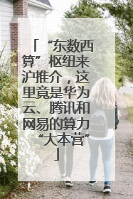 “东数西算”枢纽来沪推介，这里竟是华为云、腾讯和网易的算力“大本营”