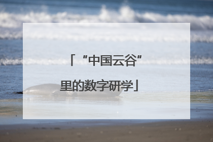 “中国云谷”里的数字研学