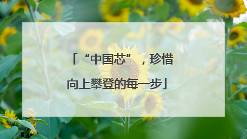 “中国芯”，珍惜向上攀登的每一步