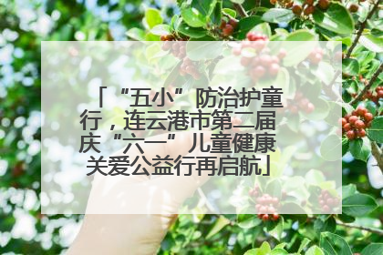 “五小”防治护童行，连云港市第二届庆“六一”儿童健康关爱公益行再启航