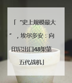 “史上规模最大”，埃尔多安：向印尼出口48架第五代战机