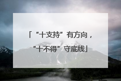 “十支持”有方向，“十不得”守底线