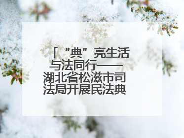 “典”亮生活 与法同行——湖北省松滋市司法局开展民法典宣传系列活动