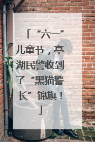 “六一”儿童节，亭湖民警收到了“黑猫警长”锦旗！