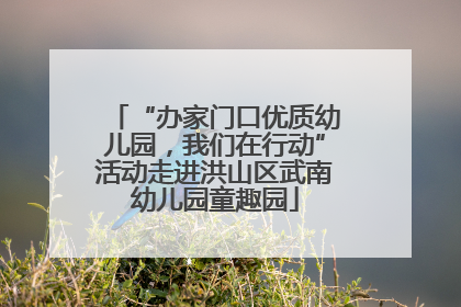 “办家门口优质幼儿园，我们在行动”活动走进洪山区武南幼儿园童趣园