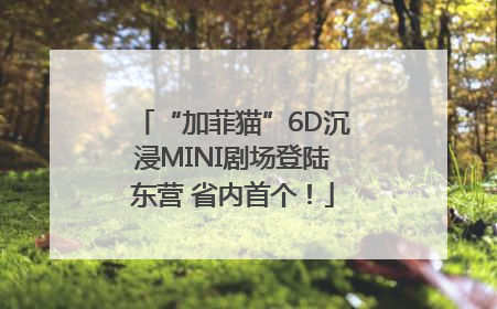 “加菲猫”6D沉浸MINI剧场登陆东营 省内首个！