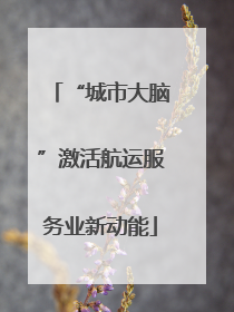 “城市大脑”激活航运服务业新动能
