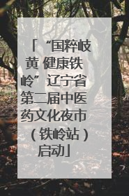 “国粹岐黄 健康铁岭”辽宁省第二届中医药文化夜市（铁岭站）启动