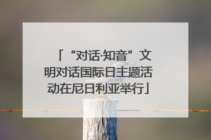 “对话·知音”文明对话国际日主题活动在尼日利亚举行