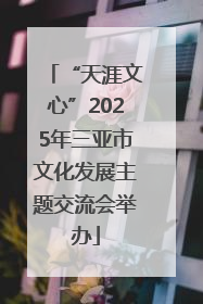 “天涯文心”2025年三亚市文化发展主题交流会举办