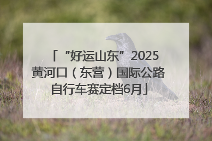“好运山东”2025黄河口（东营）国际公路自行车赛定档6月