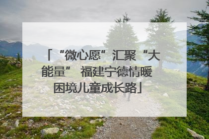 “微心愿”汇聚“大能量” 福建宁德情暖困境儿童成长路