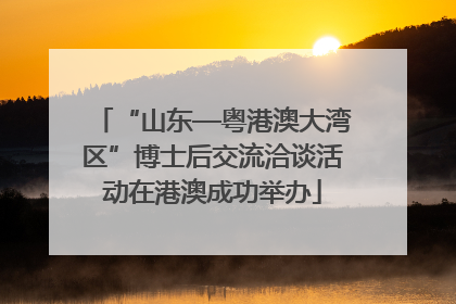 “山东—粤港澳大湾区”博士后交流洽谈活动在港澳成功举办