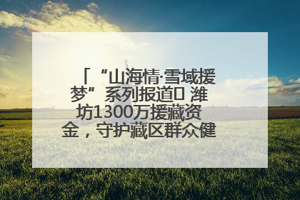 “山海情·雪域援梦”系列报道⑪ 潍坊1300万援藏资金，守护藏区群众健康“最后一公里”