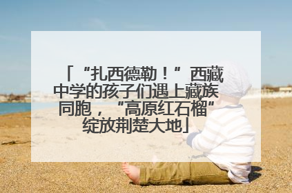 “扎西德勒！”西藏中学的孩子们遇上藏族同胞，“高原红石榴”绽放荆楚大地
