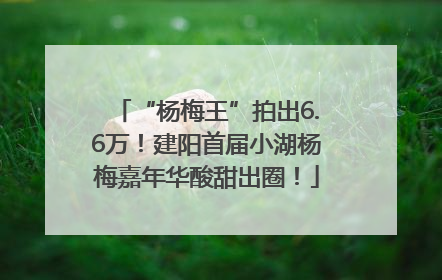 “杨梅王”拍出6.6万！建阳首届小湖杨梅嘉年华酸甜出圈！