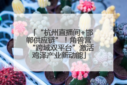 “杭州直播间+邯郸供应链”！角兽营“跨域双平台”激活鸡泽产业新动能
