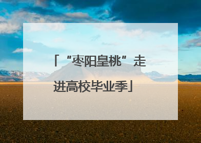 “枣阳皇桃”走进高校毕业季