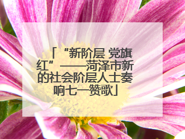 “新阶层 党旗红”——菏泽市新的社会阶层人士奏响七一赞歌