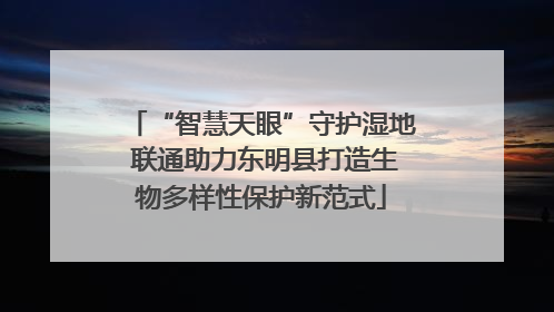 “智慧天眼”守护湿地 联通助力东明县打造生物多样性保护新范式