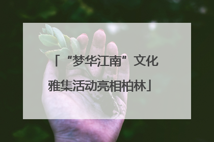 “梦华江南”文化雅集活动亮相柏林