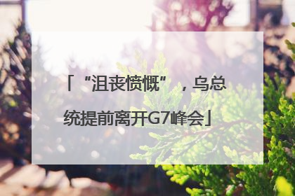 “沮丧愤慨”，乌总统提前离开G7峰会