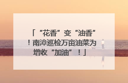 “花香”变“油香”！南漳巡检万亩油菜为增收“加油”！