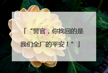 “警官，你找回的是我们全厂的平安！”