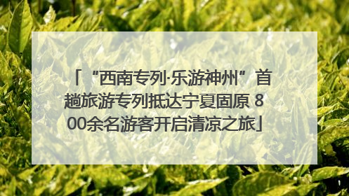 “西南专列·乐游神州”首趟旅游专列抵达宁夏固原 800余名游客开启清凉之旅
