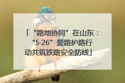 “路地协同”在山东：“5·26”爱路护路行动共筑铁路安全防线
