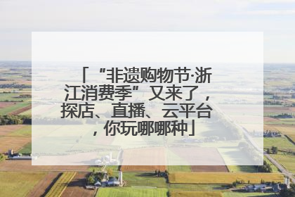 “非遗购物节·浙江消费季”又来了，探店、直播、云平台，你玩哪哪种