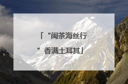 “闽茶海丝行”香满土耳其