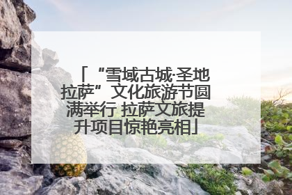 “雪域古城·圣地拉萨”文化旅游节圆满举行 拉萨文旅提升项目惊艳亮相