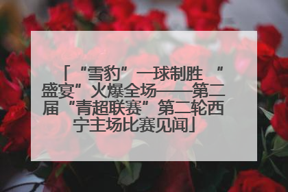 “雪豹”一球制胜 “盛宴”火爆全场——第二届“青超联赛”第二轮西宁主场比赛见闻