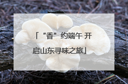 “香”约端午 开启山东寻味之旅